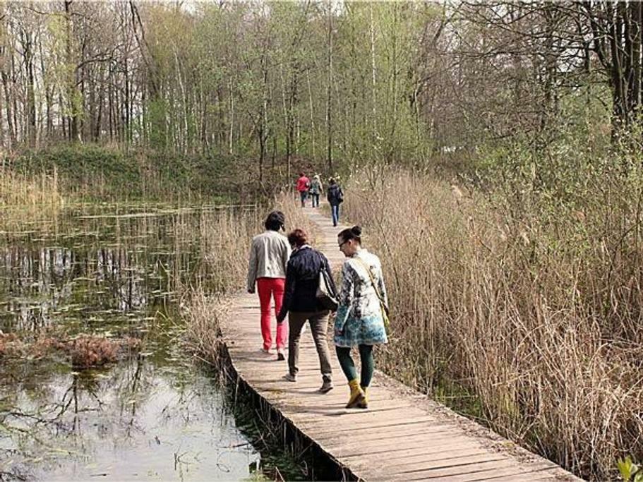 Villa Kempen-Broek Weert Esterno foto